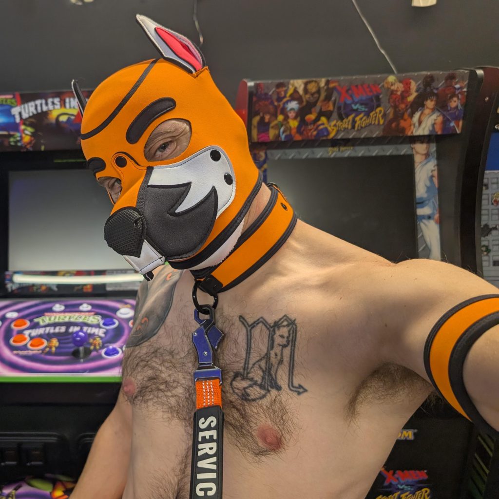 Lthrfx-nsfw-gamer-pup-video-games